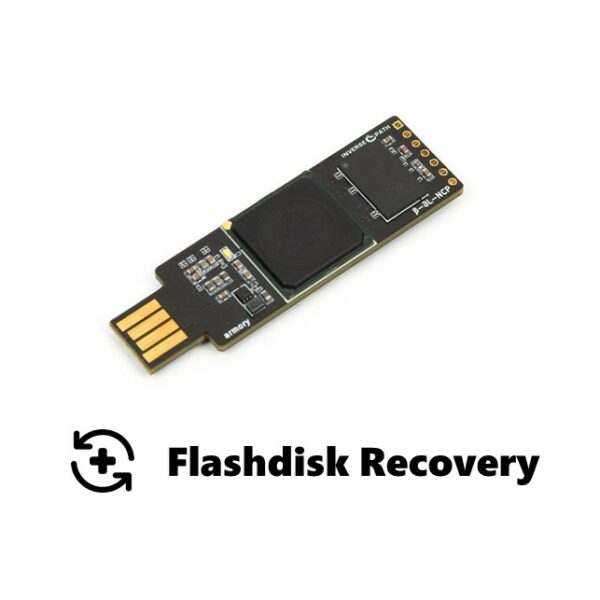Data Recovery USB Flashdisk 761 GB - 1.5 TB